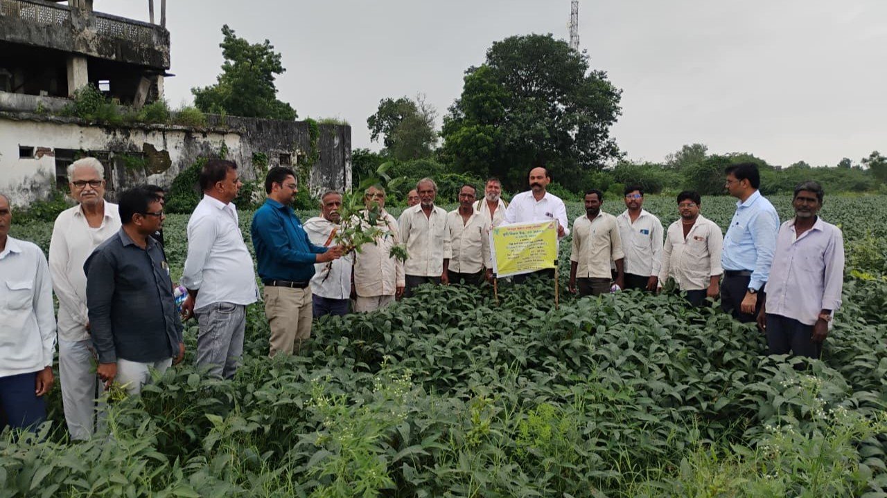 Agronomy