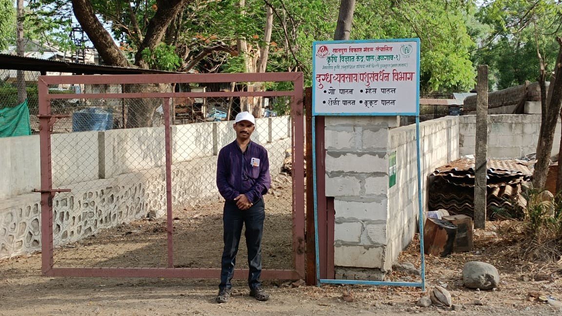 About Livestock Production