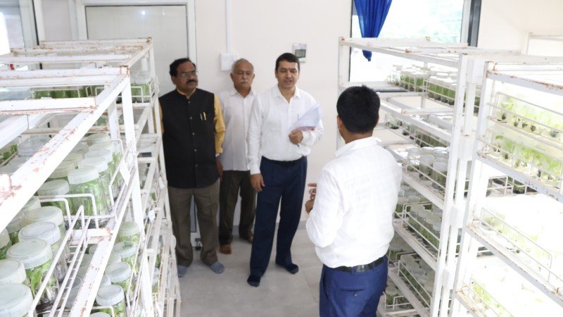 Tissue Culture Lab (Pilot Basis)