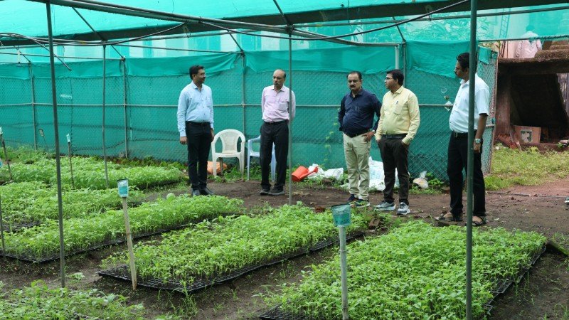 Nursery of Different Plants