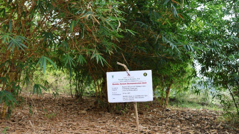 Bamboo Museum